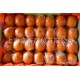 台湾进口茂谷柑20斤左右新鲜水果批发代理黄金柑蜜柑橘甜桔子大果