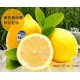 南非进口新鲜水果黄柠檬果汁店 水果店 直供柠檬原料15kgSFG牌