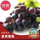 裕康葡萄庄园 夏黑葡萄 当季新鲜香甜提子自然生态绿色 优质葡萄