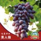 裕康葡萄庄园 美人指葡萄当季新鲜香甜提子自然生态 优质葡萄