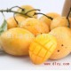 泰国进口小芒果13-14斤新鲜水果批发代理迷你小芒果黄芒果特级果
