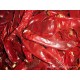 厂家直销 现货供应优质出口韩国欧美 去把干辣椒