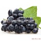 美国进口无籽黑提 黑加仑 9斤 新鲜进口水果黑提子葡萄