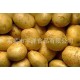 耐储存优质土豆 批发耐运输土豆 好吃新鲜的土豆 山东土豆多少钱