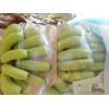 广东湛江香蕉全国配送 广东湛江香蕉产地 口感浓香 香蕉特产