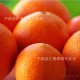 预售 正品赣南脐橙 江西宁都橙子 冬季热销新鲜水果柑橘农庄批发