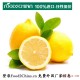 【海到帮】美国新奇士柠檬 进口水果 新鲜水果 一手货源