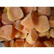 红薯块，优质红薯块。优质基地原料加工
