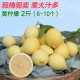 新鲜水果 安岳黄柠檬 1kg中大果包邮 尤力克一等品  果园批发现货