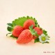 现摘现卖新鲜草莓 无公害农产品 益生菌肥栽培 口感极佳 香甜可口