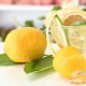 [LTD] 四川特产批发 安岳黄柠檬 A162#小果 新鲜现摘 皮薄多汁