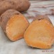 长汀远翔农业新鲜可口 香糯不腻 新鲜黄薯 特产无公害 黄薯