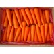 山东供应出口级新鲜蔬菜胡萝卜 绿色食品 胡萝卜