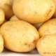 合作社长期供应 新鲜优质土豆 绿色农产品 出口级土豆 马铃薯