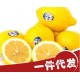【快果莱】批发进口新鲜水果美国进口新奇士柠檬进口柠檬批发代发
