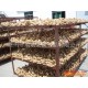 2014年莱州旭斌供应高规格无农残100-800克优质保鲜姜，风干姜。