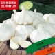 大蒜之乡金乡恒金辉长期供应优质新鲜白皮蒜各种包装大瓣白皮蒜