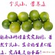 【七彩滇园】越南青柠檬  新鲜酸爽 皮薄汁多 维生素多 美白祛斑