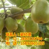 贵州猕猴桃种植，红心猕猴桃图片，贵州猕猴桃基地