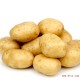 酒店餐饮贵州特产新鲜蔬菜类马铃薯土豆农家栽种纯天然绿色食品