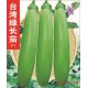 蔬菜种子 特菜种子 台湾绿长茄种子 茄子 果皮亮1000粒包邮