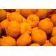 正宗三明柑橘 原产地直销，生鲜水果 芦柑 椪柑专业代办产地供货
