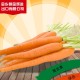 自产自销优质新鲜胡萝卜富含维生素精美包装多种规格胡萝卜特价