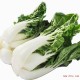 新鲜蔬菜 无公害奶白菜 新鲜青菜 健康蔬菜 矮脚菜 火锅必备
