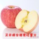 烟台栖霞红富士苹果批发果径70mm 新鲜水果一件代发水晶苹果