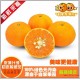 批发柑橘 精品黄金茂谷柑 橘子 台湾水果 柑橘水果 台湾进口食品