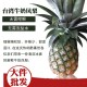 正宗台湾进口有机水果牛奶凤梨白肉菠萝精选新鲜 一件整批