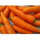 热销精品无公害蔬菜胡萝卜 保鲜胡萝卜 批量出售优质胡萝卜
