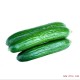 绿色健康蔬菜  绿水果黄瓜