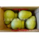 台湾进口麻豆文旦12斤特价新鲜水果批发团购白心蜜柚文旦柚青柚子