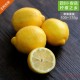 四川安岳新鲜黄柠檬 安岳黄柠檬 新鲜汁多 水果特产批发
