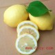 四川安岳黄柠檬新鲜皮薄汁多批发采购1、2级统货