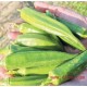 芦笋自产新鲜有机蔬菜抗癌食品营养高世界十大名菜 3斤包邮