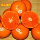 澳大利亚柑橘12只装澳柑新鲜水果进口橘子桔子正品澳柑超级甜有籽