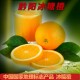 湖南黔阳冰糖橙万橙冬季水果应季水果有机水果橘子礼品装5斤起卖