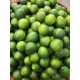 大量批发 越南小柠檬 青柠檬 新鲜东南亚热带水果