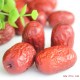 若羌二级红枣 产地有机种植红枣 美味营养若羌红枣特价批发