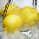 四川安岳一级优现摘新鲜水果黄柠檬 现发水果批发2斤起