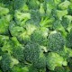 厂家直销 速冻西兰花 高品质冷冻蔬菜质量可靠大量批发可冷冻物流
