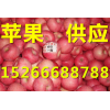 山东苹果 红富士苹果价格