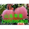 销售江西南昌红富士苹果今日最新价格报价