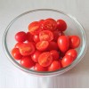绿宫坊圣女果，优质小西红柿新鲜上市