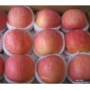 山东红富士苹果价格最新价格
