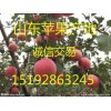 山东红富士苹果产地销售 山东红富士苹果价格
