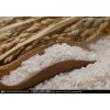 武汉钢城求购：大米面粉黄豆玉米小麦碎米