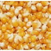 常年求购玉米大豆高粱小麦麸皮次粉等饲料原料